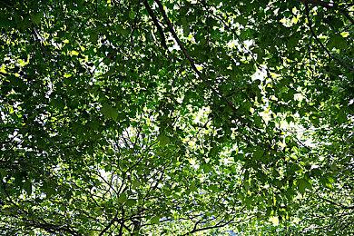 横向卷轴冒险《机器人海库》4月28日登陆Steam