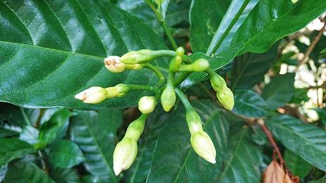 战地2042青春版？射击游戏《Clownfield 2042》12月31日上线